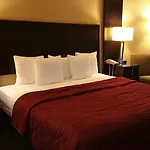 Cedars Inn