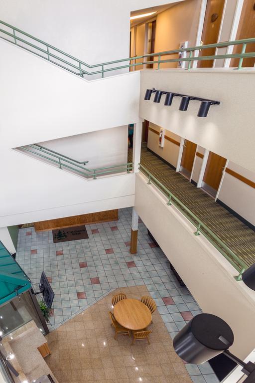 Cedars Hotel 3*