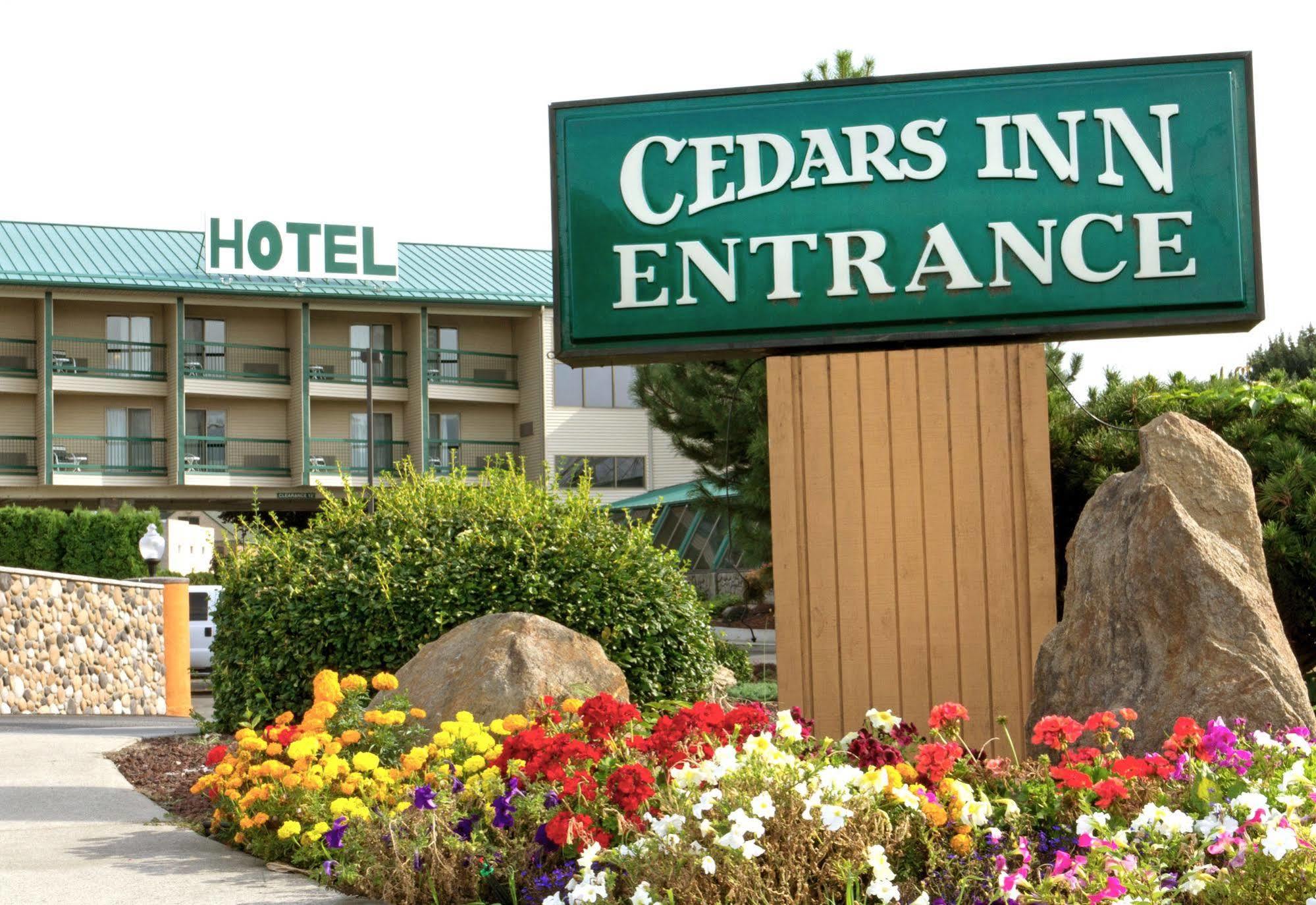 Cedars